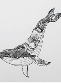 一列黑白鲸鱼cq9电子手稿制图片