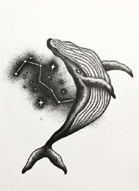 鲸鱼手稿_一套39篇精美鲸鱼cq9电子手稿制图案素材