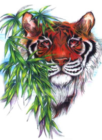 30列各种形态的老虎cq9电子手稿制图案