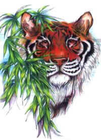 30列帅气的老虎头cq9电子手稿制图片