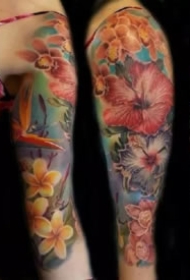 彩色花臂 18款炫彩色的写实等风格大花臂cq9电子作品